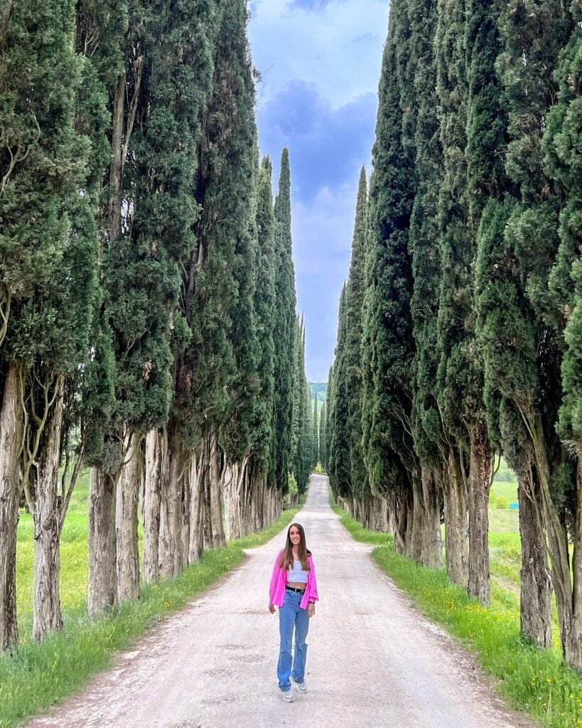 Tur in Toscana: Valea Chianti si Siena