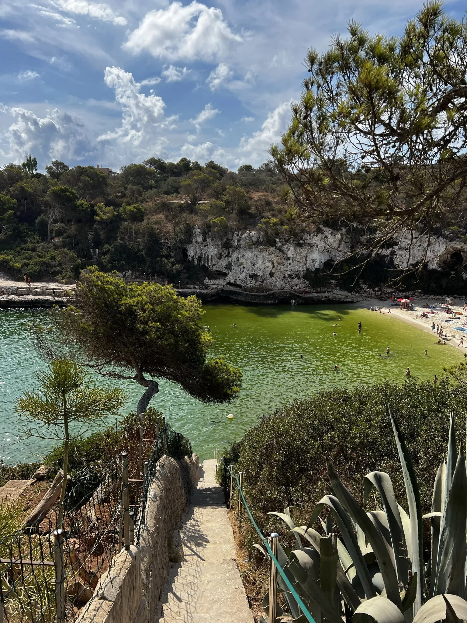 Itinerariu Mallorca