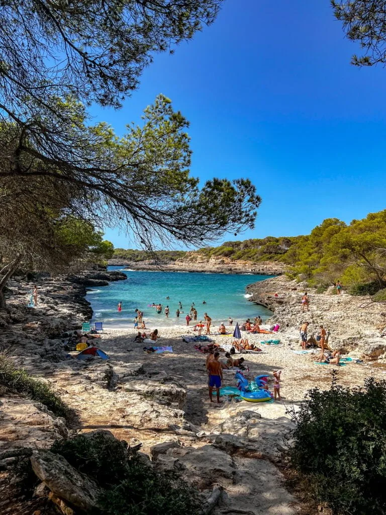 Calo des Borgit