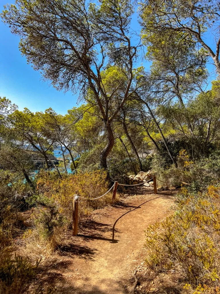 Drumul catre Cala Mondrago