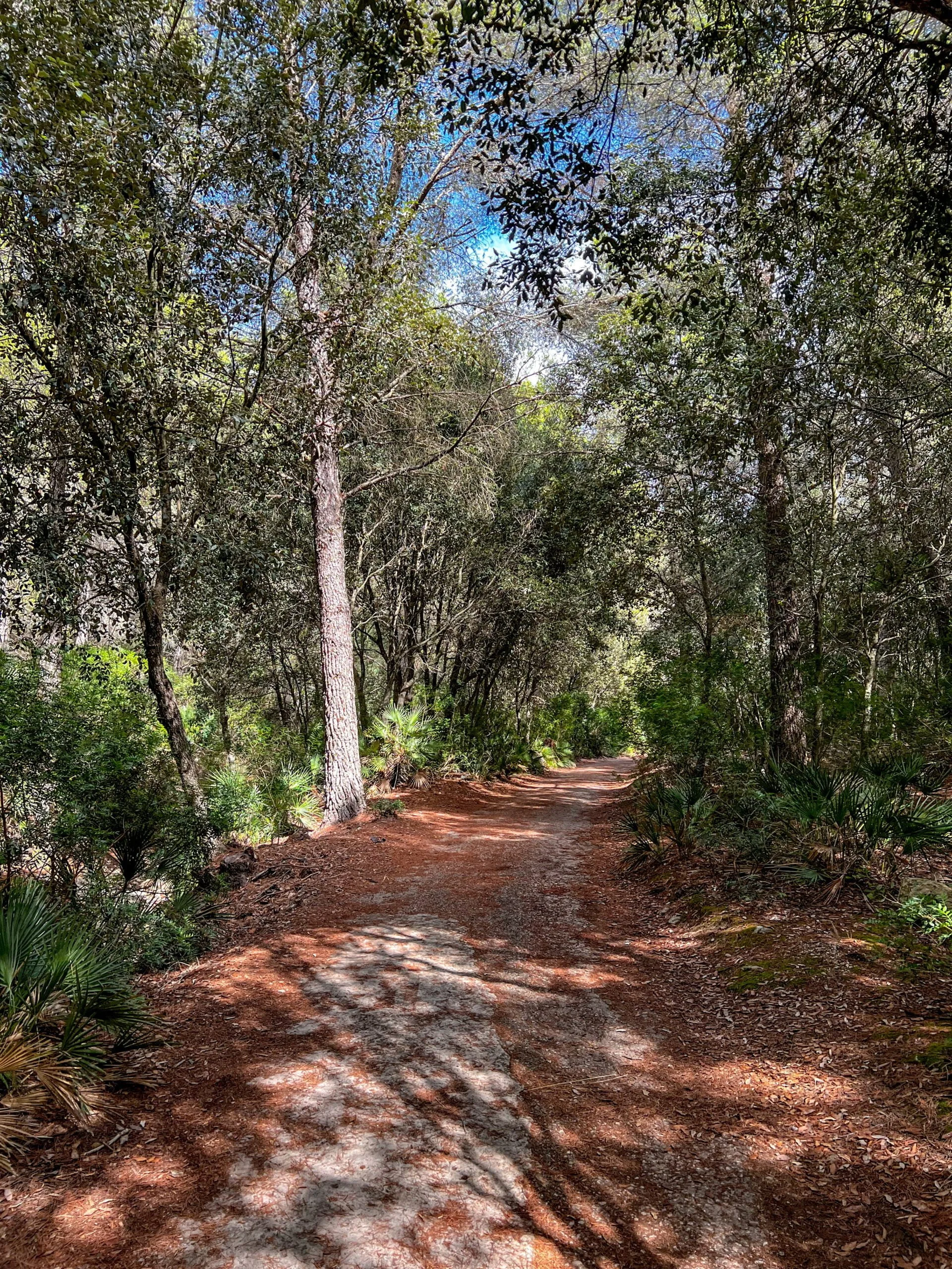 Drumul pana la Cala Murta